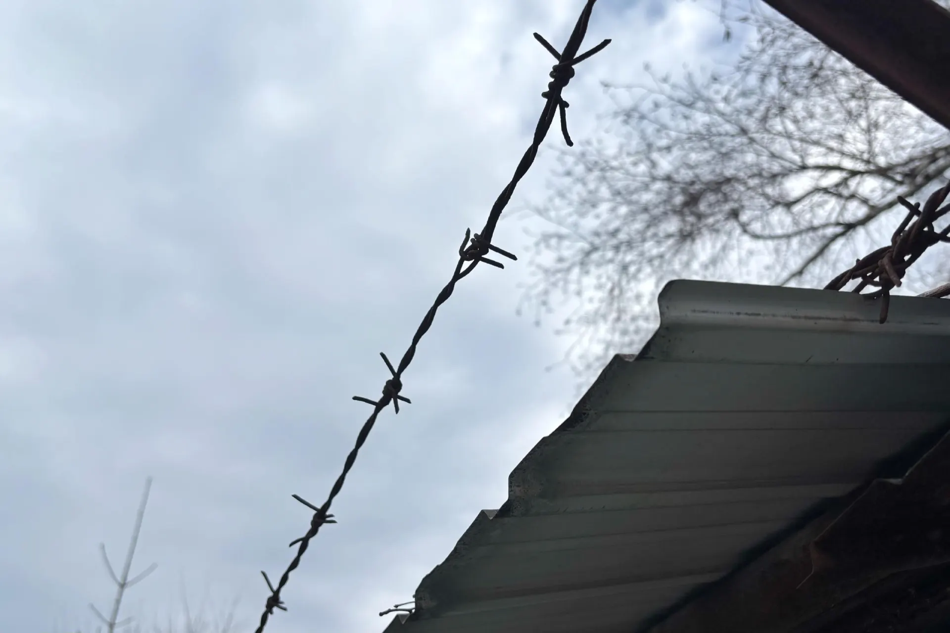 Жительницу Рязанской области задержали по подозрению в убийстве сожителя — следователи утверждают, что она нанесла ему несколько ножевых ранений в голову. Суд избрал меру пресечения в виде заключения под стражу.
