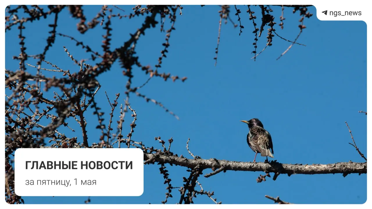 Главные новости пятницы: в детской спортивной школе Татарска обрушился потолок — пострадавших нет. Также заметили поезд из старых вагонов на Дзержинской ветке, сообщили о сроках запуска фонтана в Центральном парке, прошло первомайское шествие коммунистов и произошёл погром на площади Маркса.