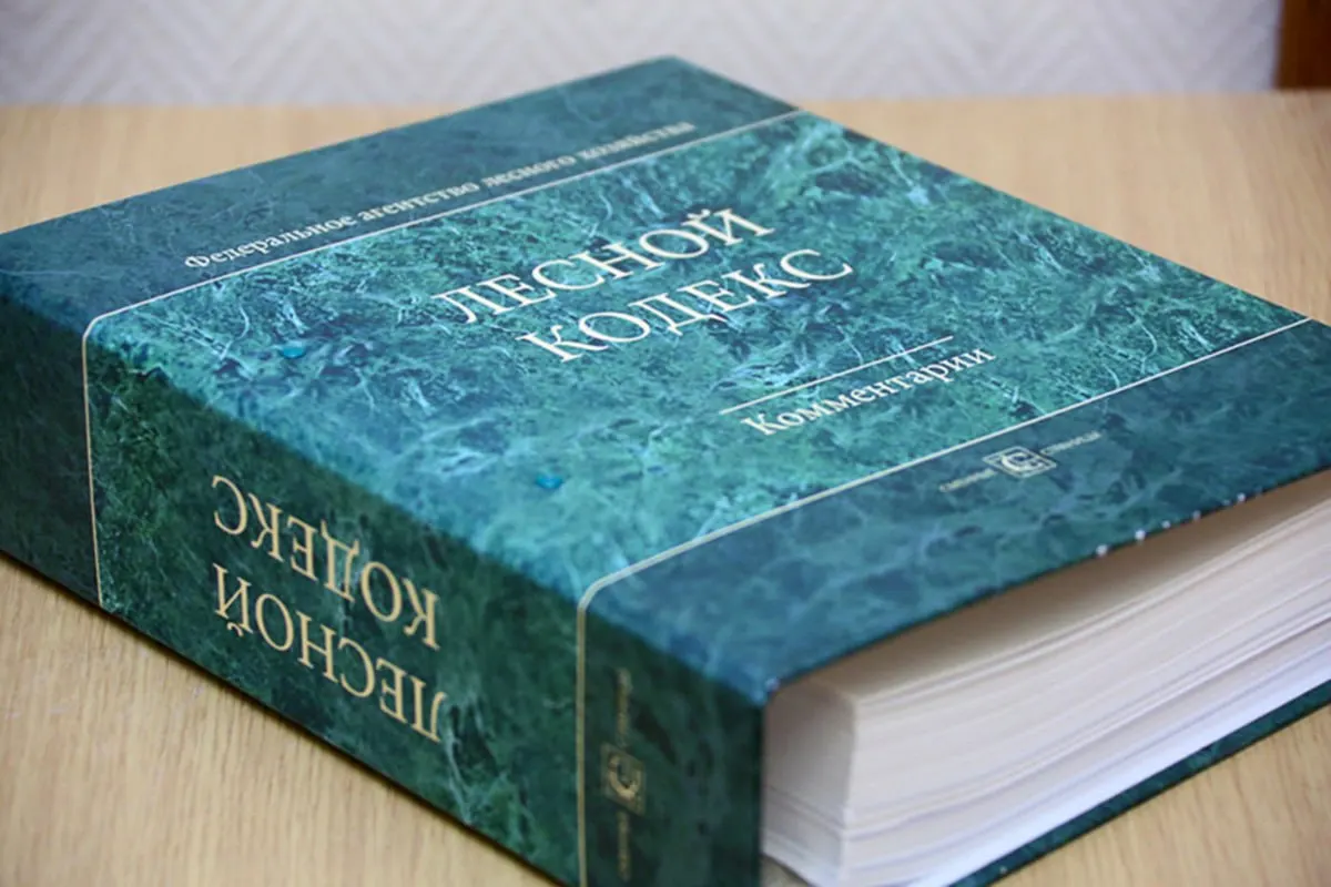 Кодекс, принятый в 2006 году, получил 79 пакетов поправок; эксперт по лесному хозяйству считает, что документ нужно упростить и заменить, чтобы снизить риски для бизнеса и специалистов.