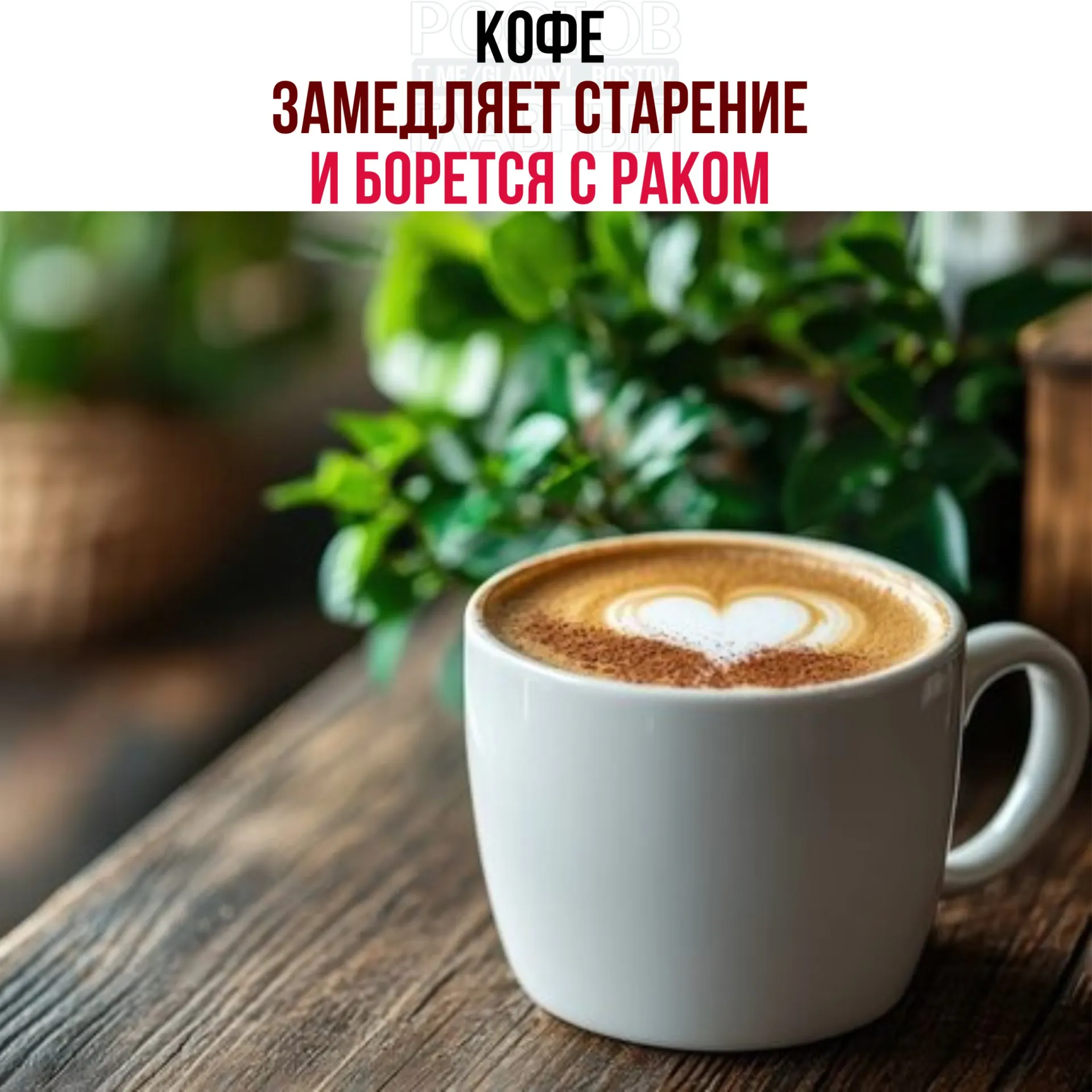 Исследователи обнаружили в зёрнах кофе кислоты и полифенолы, которые усиливают работу белка NR4A1: это снижает воспаление, ускоряет восстановление тканей и замедляет рост опухолевых клеток.