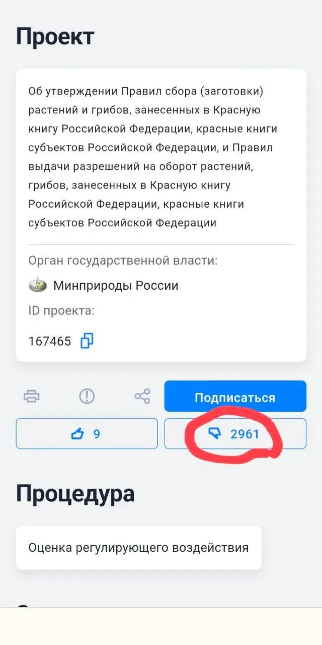 Новые правила допускают пересадку редких видов ради хозяйственной деятельности при отсутствии альтернатив — экологи резко критикуют документ.