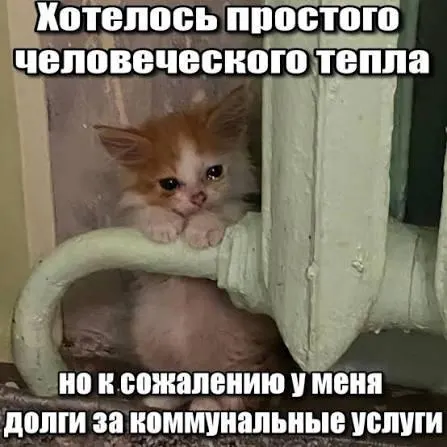 Суд подтвердил, что по общему правилу исковая давность в три года не позволяет включать в квитанции задолженности за капремонт, сформировавшиеся более трёх лет назад; это решение важно для покупателей вторичного жилья и наследников.