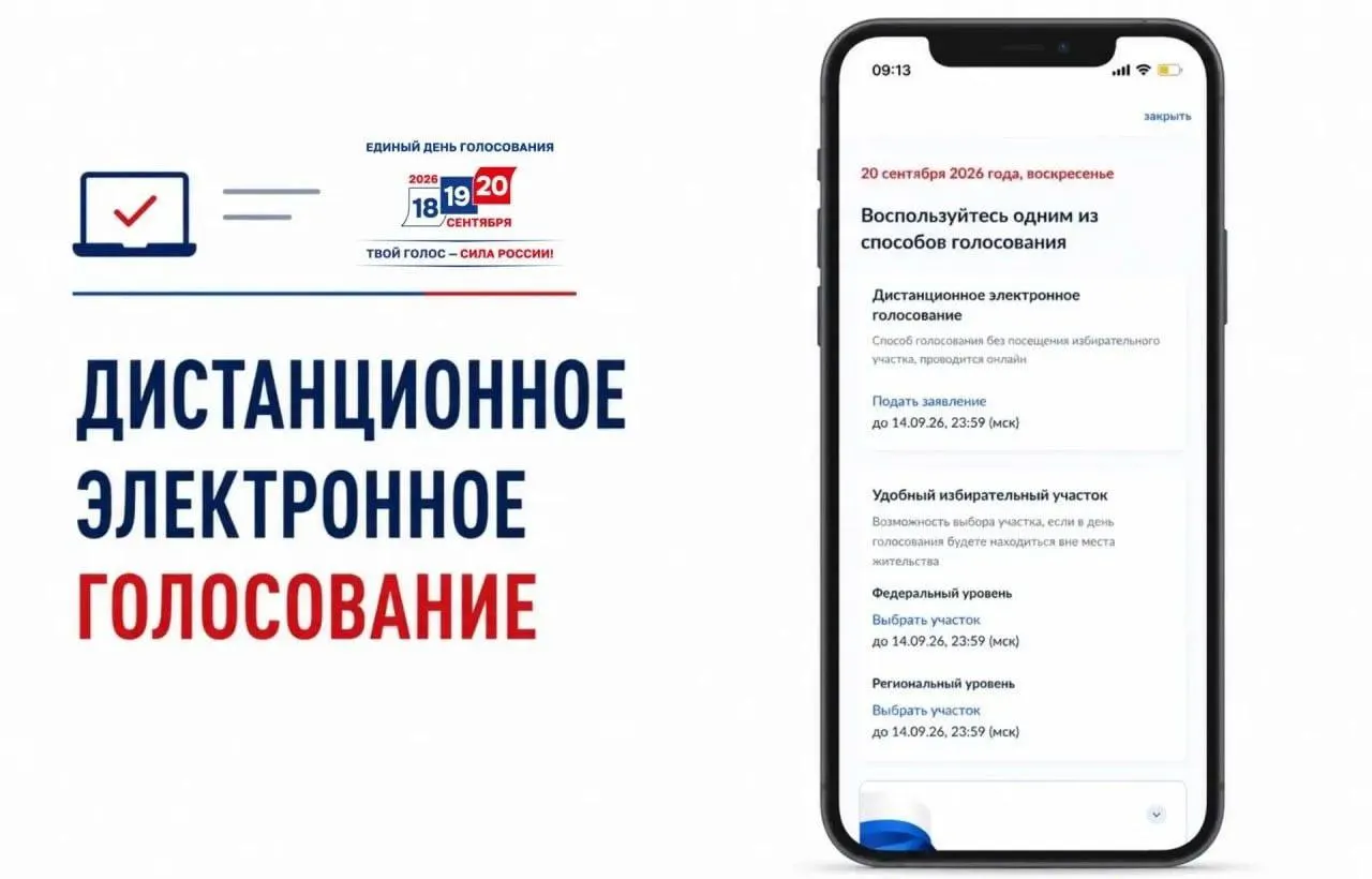 Пуск ДЭГ на портале госуслуг сопровождается критикой в адрес прозрачности и возможности манипуляций на выборах.