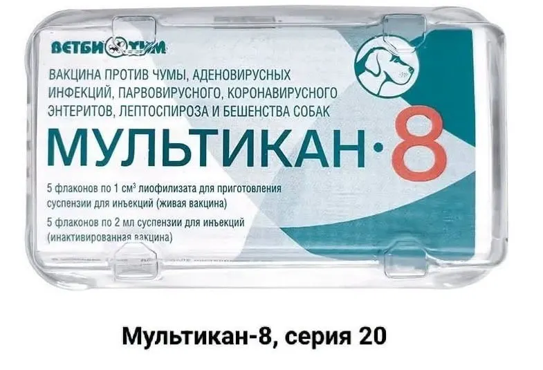 Владельцы собак, погибших после вакцинации препаратом «Мультикан-8», призывают к открытым расследованиям и независимым анализам на вирус Ауески, указывая на возможное давление на лаборатории и нарушения в технологии.
