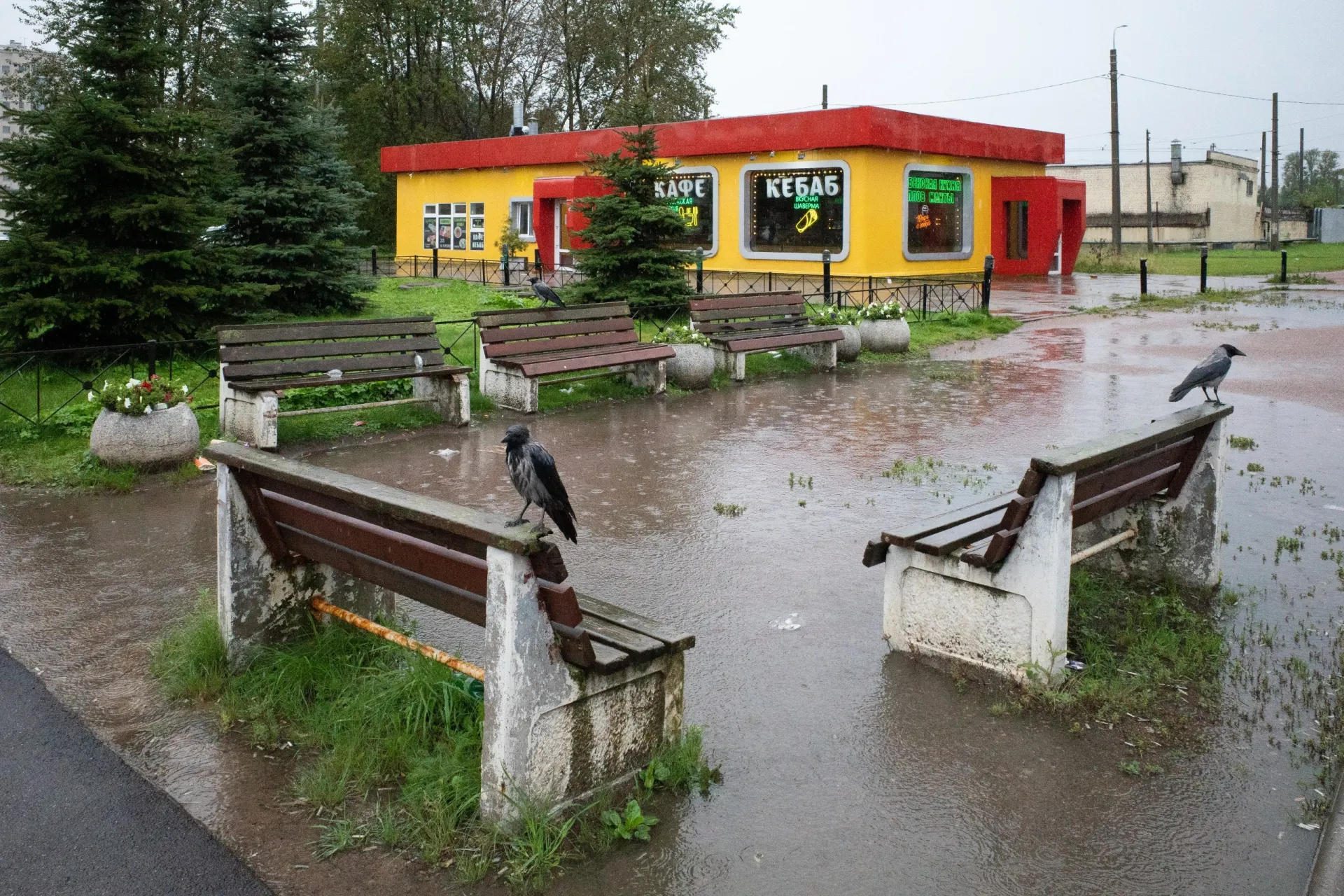 Сводка новостей: развод экс-депутата в Санкт-Петербурге, политические заявления, а также события на границе Финляндии и в регионах России и мира.